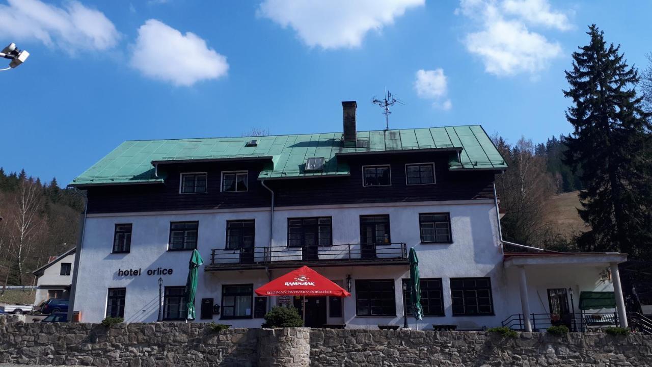 Hotel Orlice Desztne w Górach Orlickich Zewnętrze zdjęcie