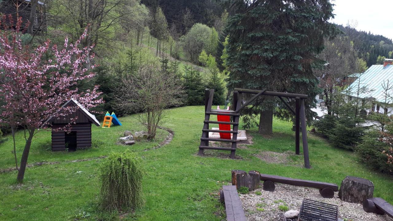 Hotel Orlice Desztne w Górach Orlickich Zewnętrze zdjęcie